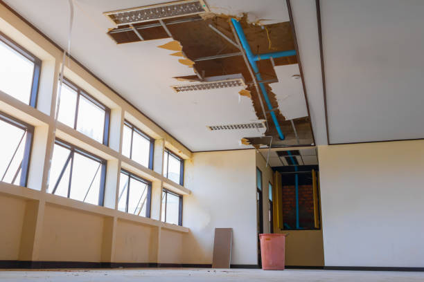 Best Water damage restoration near me  in Lytle, TX