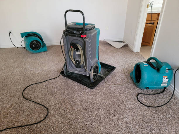 Best Water damage cleanup near me  in Lytle, TX