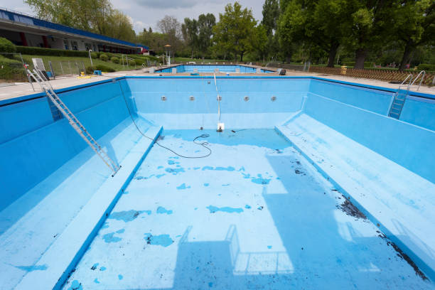 Best Professional water damage repair  in Lytle, TX