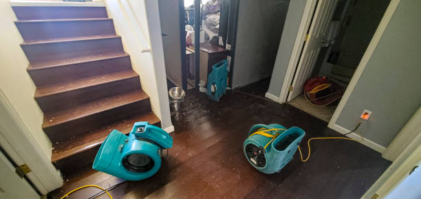 Reliable Lytle, TX Water damage restoration Solutions