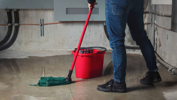 Best Basement water damage restoration  in Lytle, TX