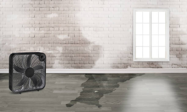 Best Sewage cleanup and water damage restoration  in Lytle, TX