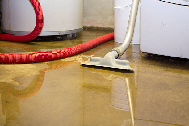 Best Flood restoration services  in Lytle, TX
