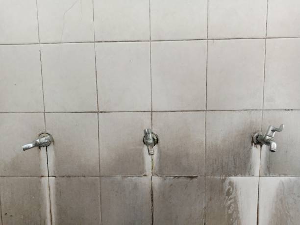 Best Fire Damage Restoration  in Lytle, TX