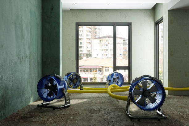Best Emergency water damage restoration  in Lytle, TX