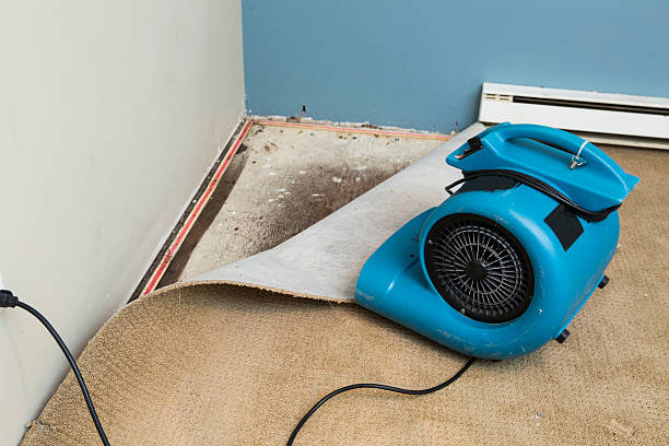 Best Commercial water damage restoration  in Lytle, TX
